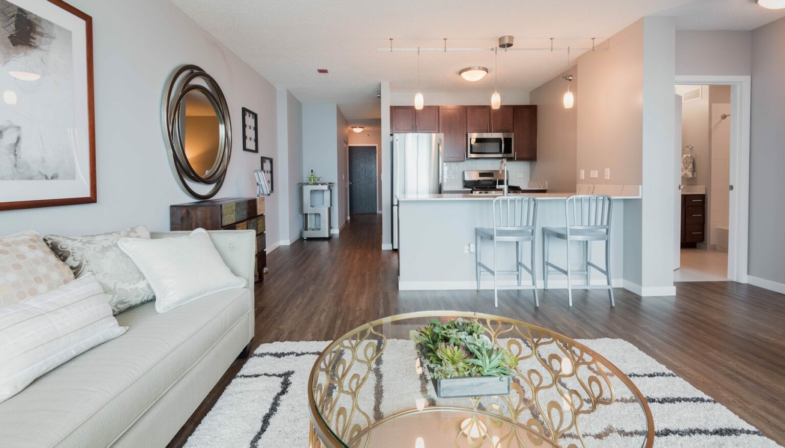 Streeterville Chicago Luxury Apartments Luxury Apartments Chicago
